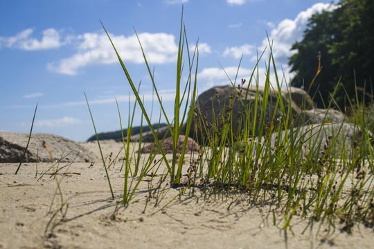 Am Meer in Deutschland